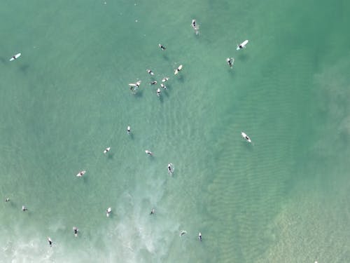 An Aerial Photography of People Surfing in a Beach