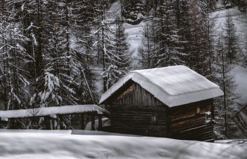 Free A serene winter scene with a snow-covered cabin surrounded by frosty trees. Stock Photo
