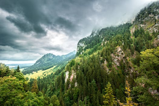 Majestic view of mountains and forests under a moody sky, showcasing nature's beauty.