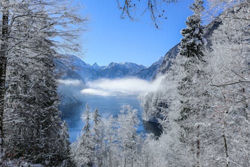 겨울 동안 산맥의 사진