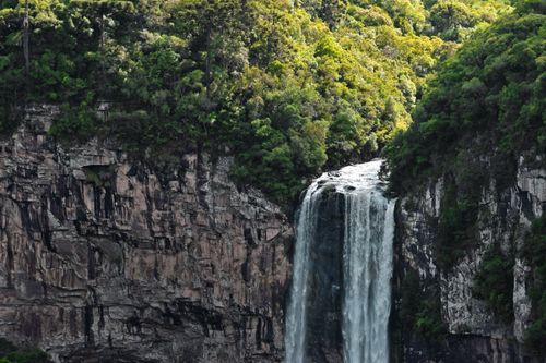 Free Beautiful waterfall cascading over cliffs surrounded by lush greenery in Gramado, Brazil. Stock Photo