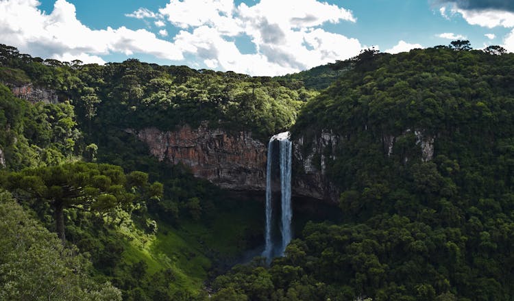 Waterfalls On Cliff