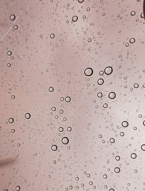 Foto profissional grátis de copo molhado, pingos de chuva