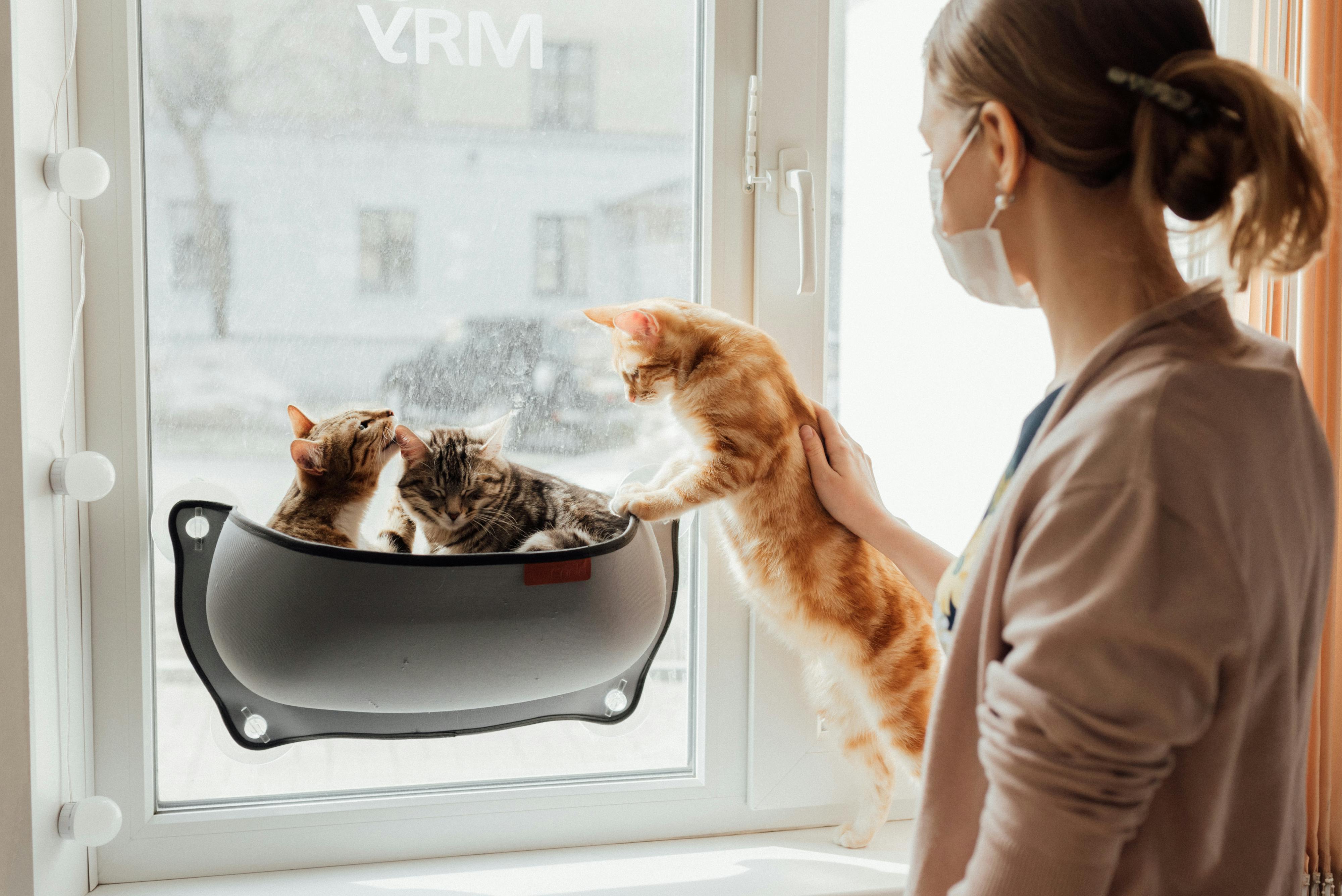 pet technology market — Photo by Arina Krasnikova on Pexels