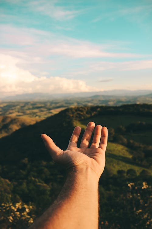 Free Person's Left Hand Stock Photo