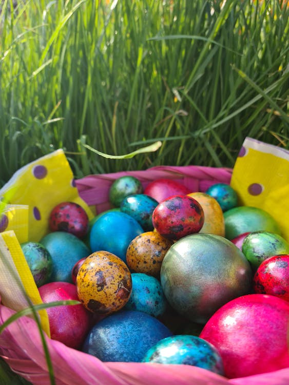 Basket with Colorful Easter Eggs Standing in Grass · Free Stock Photo