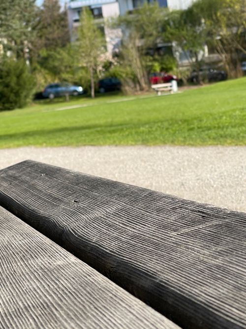 Free stock photo of bench, positive outlook, warm weather Stock Photo