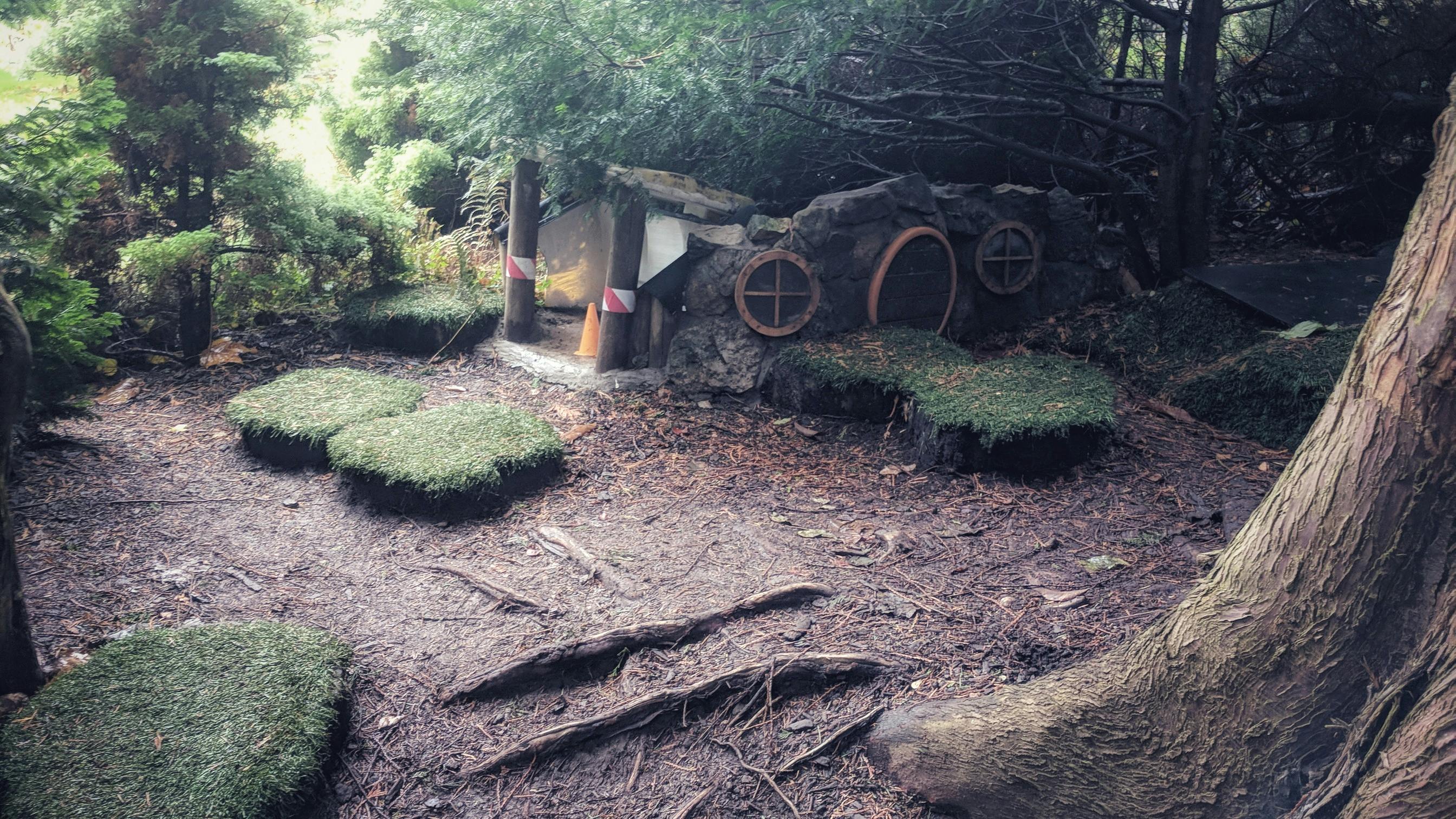 Kostenloses Foto zum Thema: braun, husky, schlittenhund