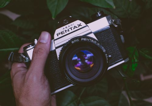 Free A classic analogue camera is held in hand, surrounded by vibrant green leaves. Stock Photo
