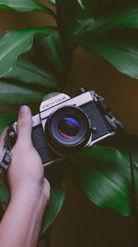Hand holding a classic vintage camera against a background of leafy green plants.
