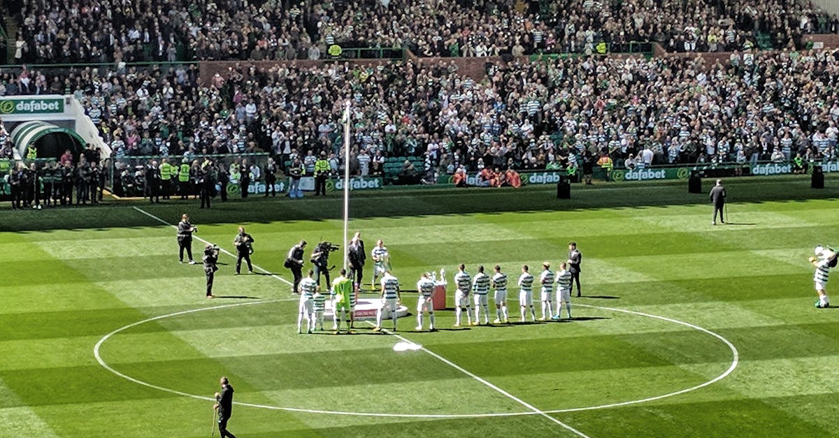 Free stock photo of celtic, champions, flag