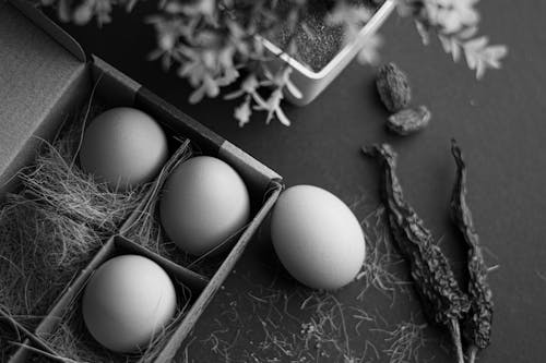 Monochrome Photograph of Eggs Near Dried Chili Peppers