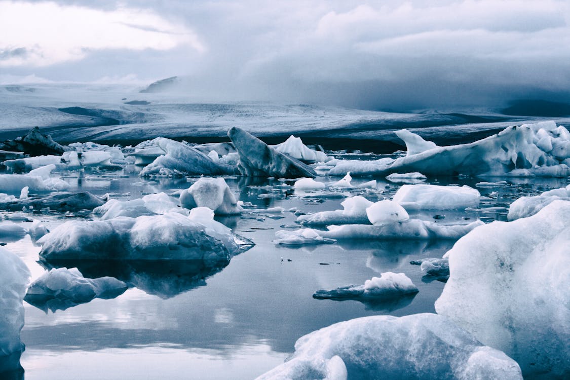 Icebergs on the Lake