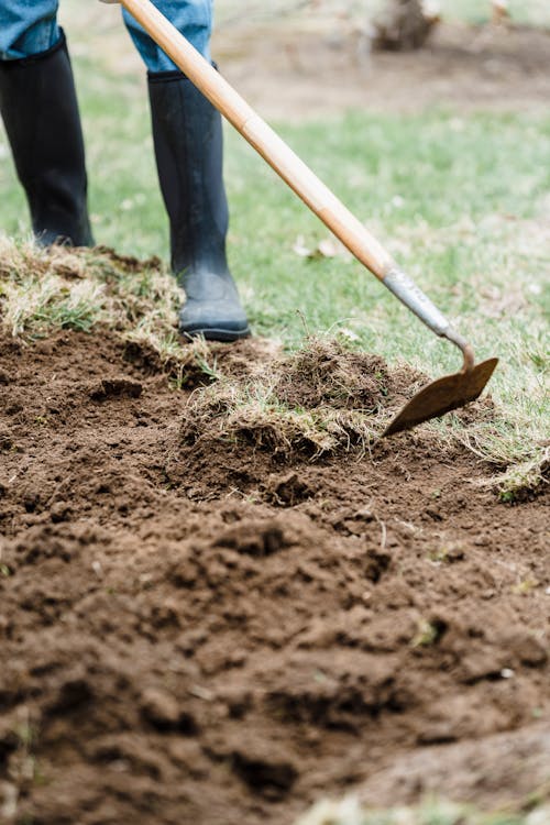 Immagine gratuita di agricoltori, agricoltura, agronomia