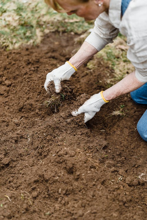 Crop gardener preparing soil for planting