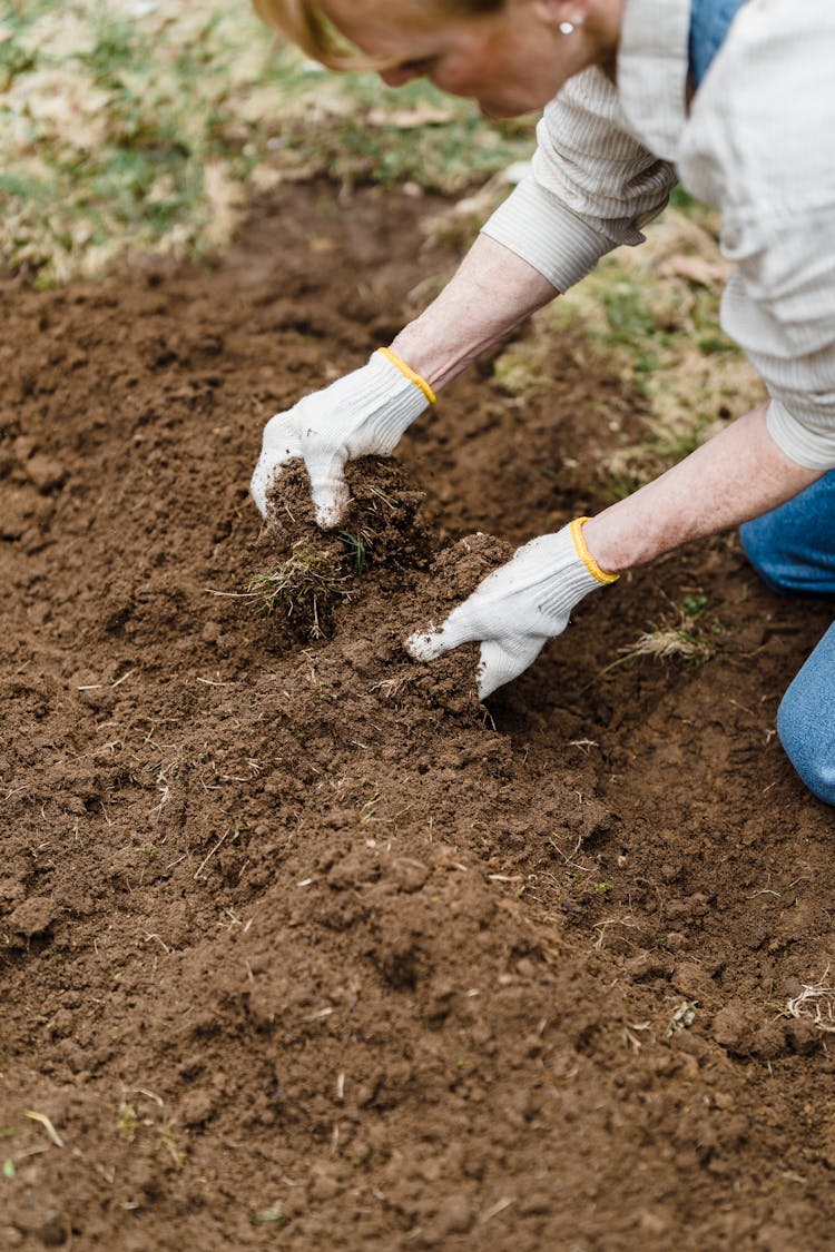 Crop Gardener Preparing Soil For Planting