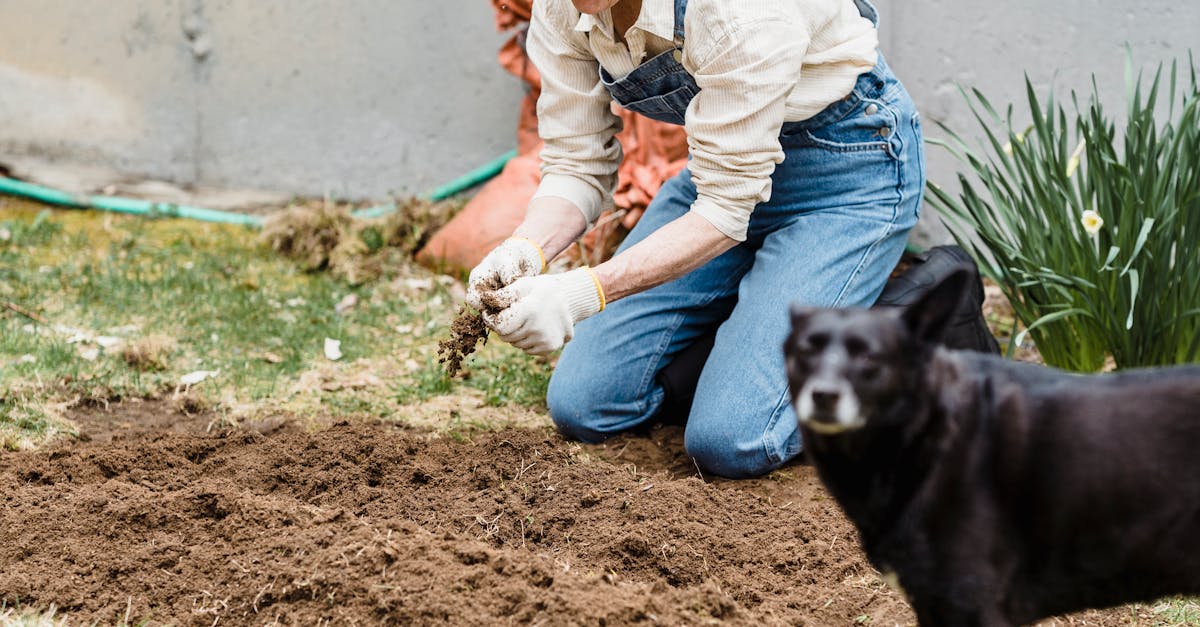 Adult female in denim overall and gloves sitting on grassy ground near house while working in garden with dog standing near