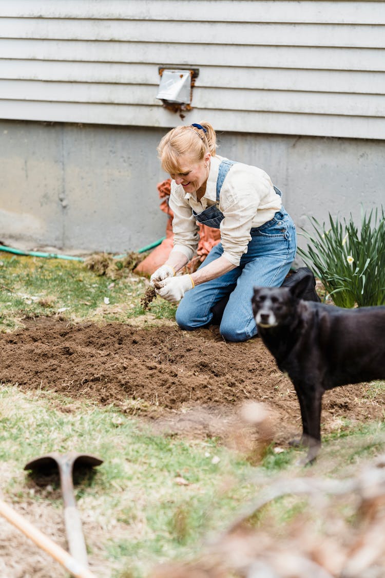 Female Gardener With Dog In Yard