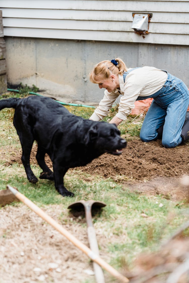 Female Gardener With Dog In Backyard