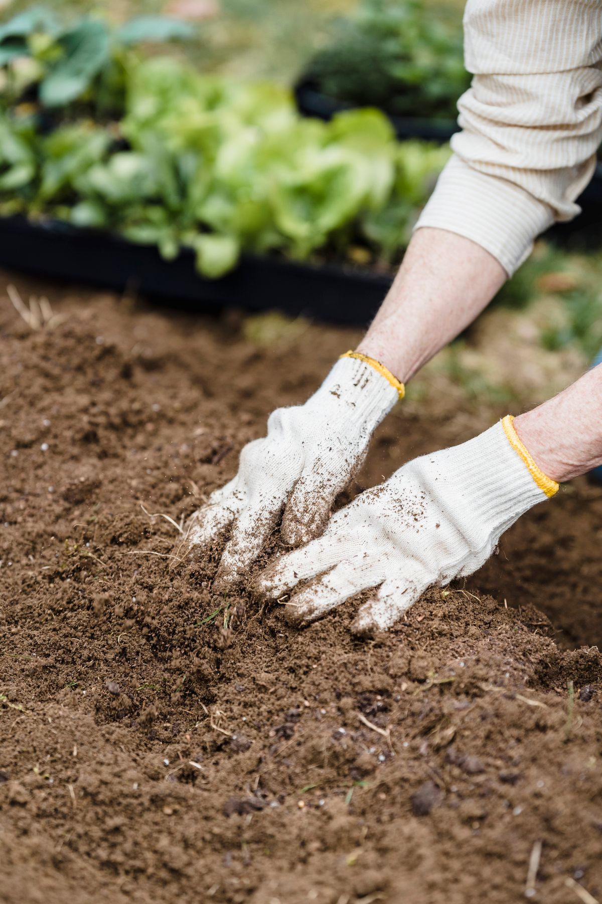 Rich topsoil and garden soil for landscaping in Calcasieu Parish