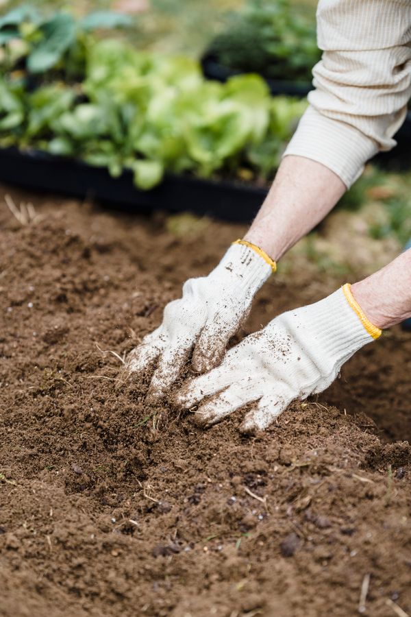 Screened topsoil for lawn establishment and grading
