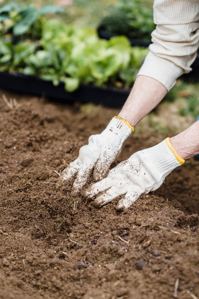Organic Compost specifications