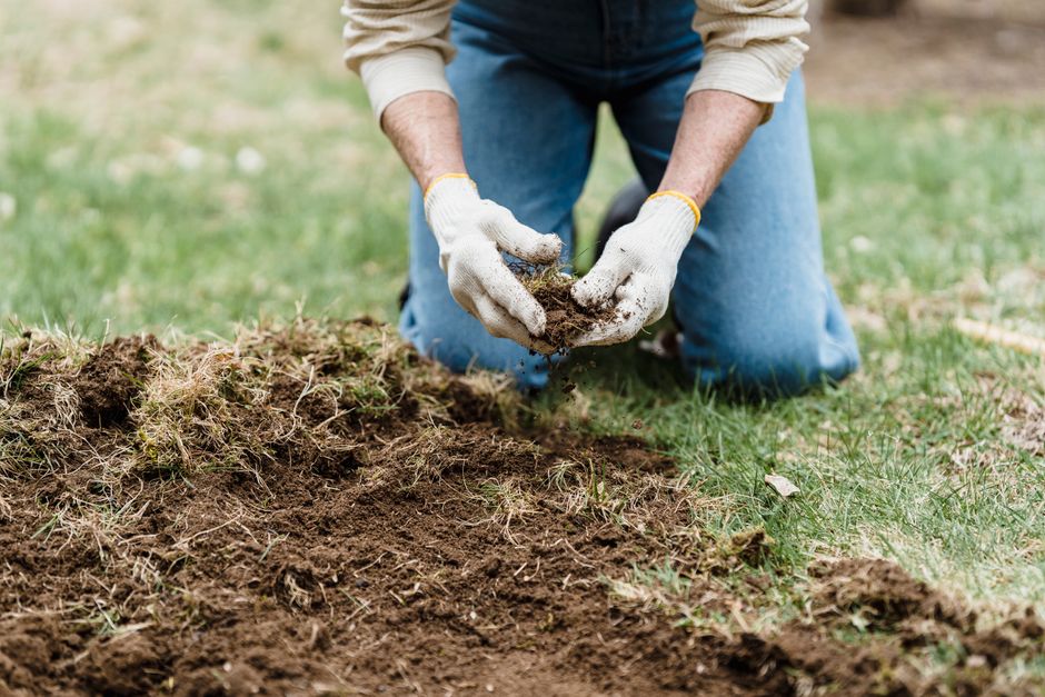 Jardin coloré préparé pour le printemps. Jardin coloré préparé pour le printemps.