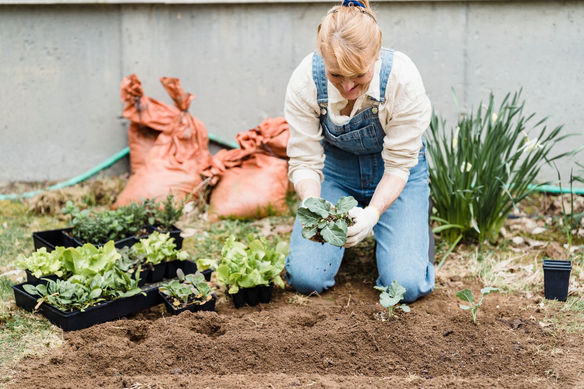 Happy female gardener in gloves planting green seedlings while sitting on ground near wall in garden