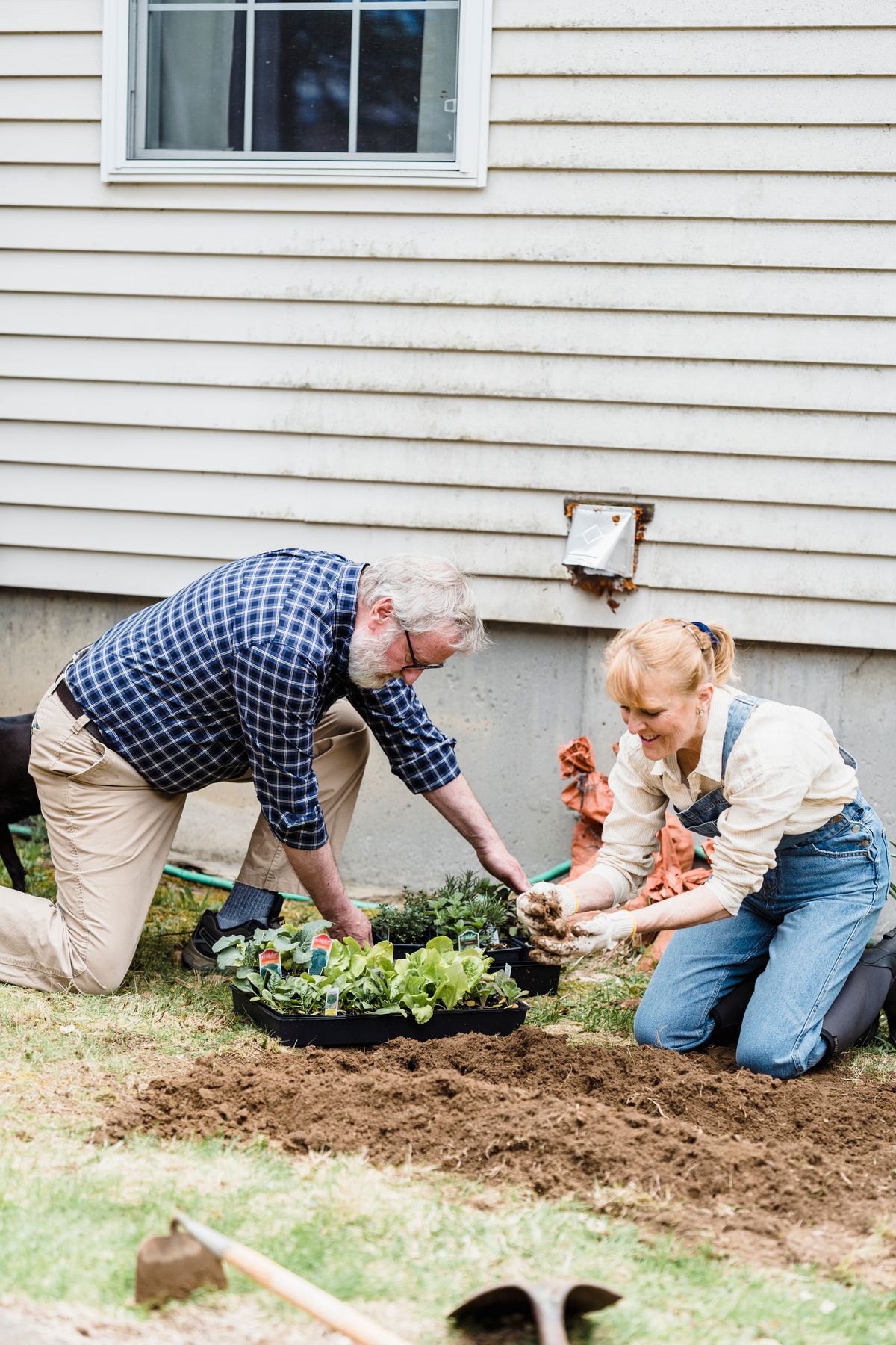 A senior couple gardening together