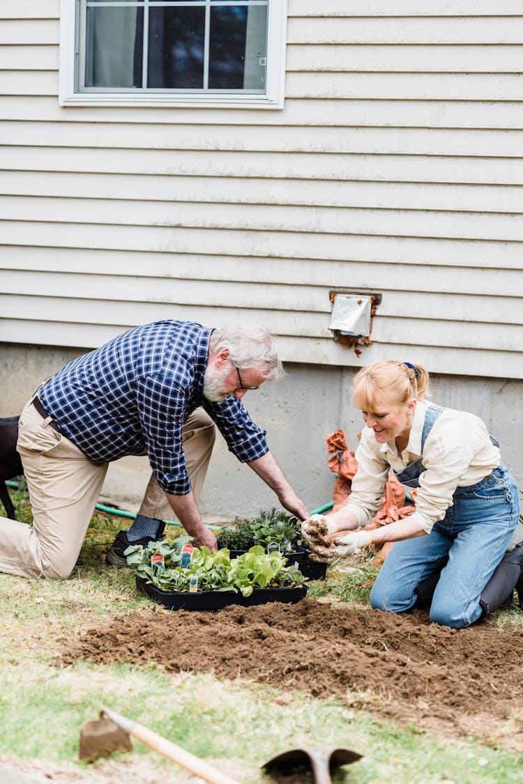 Senior Couple Working Together In Garden