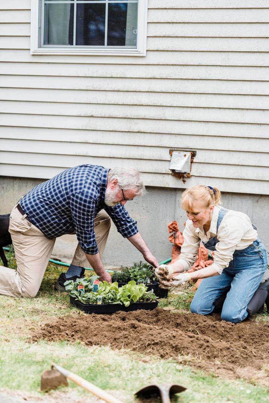 A senior couple planting vegetables together