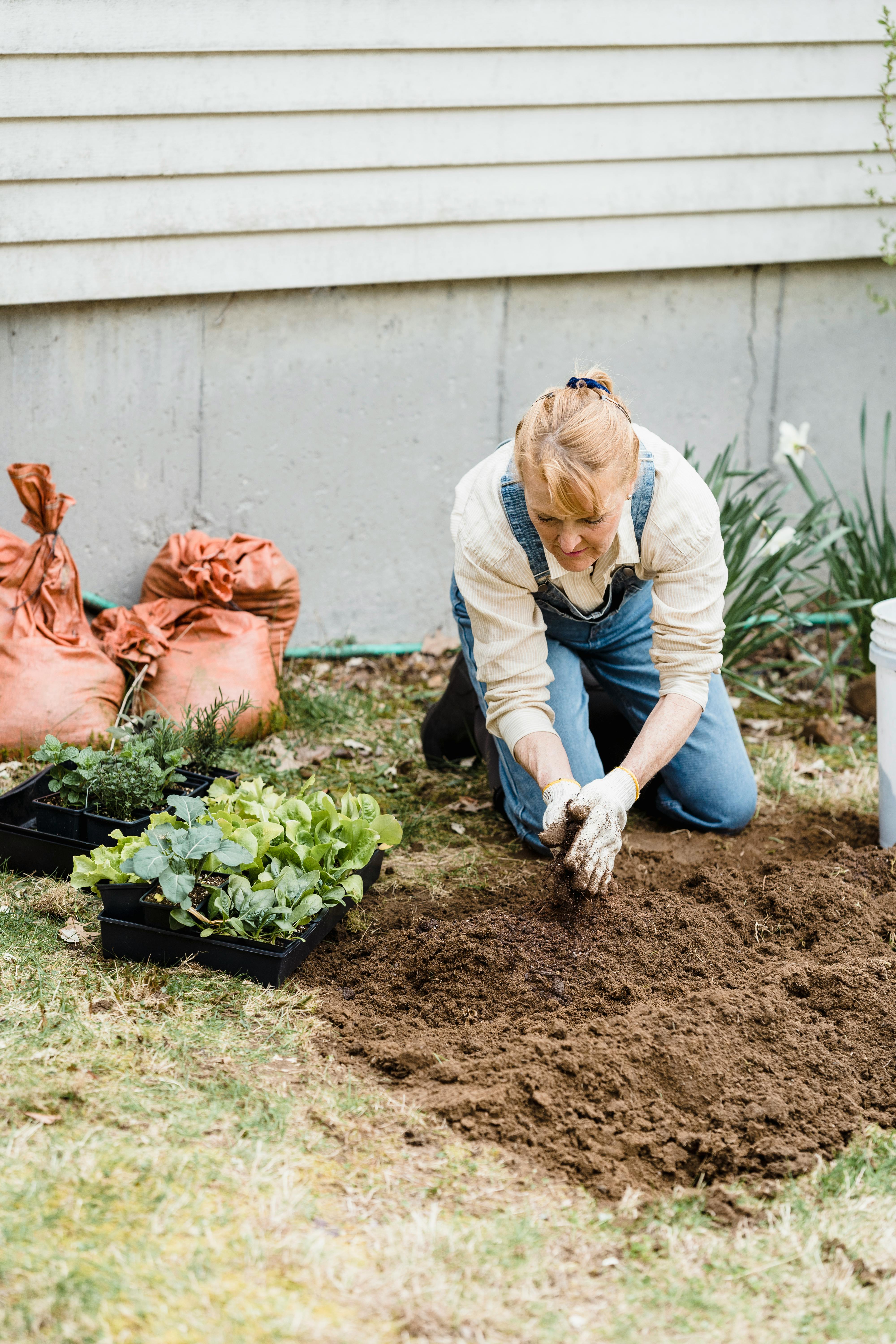 gardener with seedlings in garden