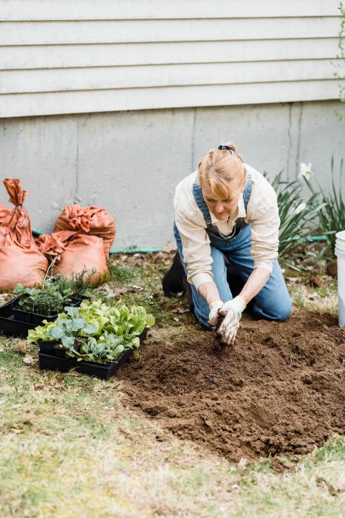 Free Full body of female in denim overall and gloves sitting on ground near green seedlings in garden Stock Photo