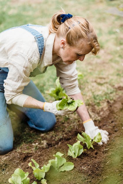 How much is a yard of dirt cost near me