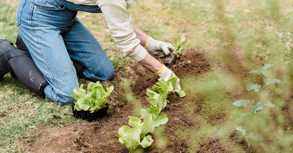 How much is a yard of dirt in tons