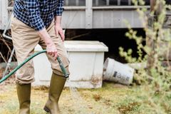 Full body of mature male gardener in rubber boots watering garden bed with green sprouts in countryside on summer day
