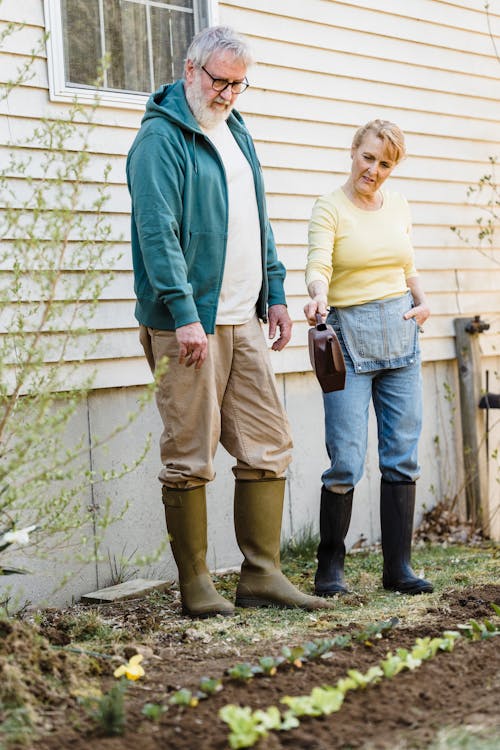 Senior couple examining seedlings near building wall