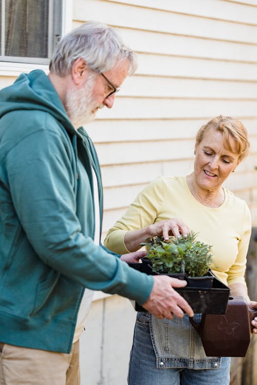 Free Senior wife and husband taking care of seedlings against wall Stock Photo