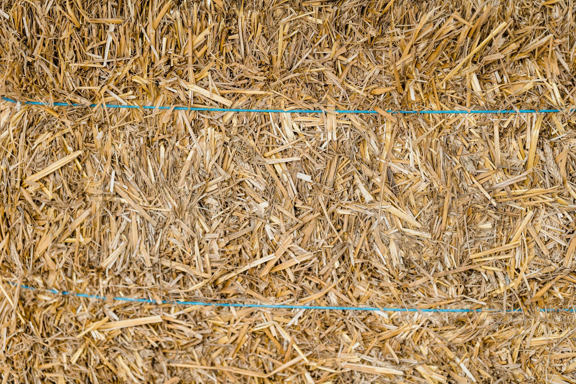 Detailed close-up of a straw hay bale bound with blue twine, perfect for textures.