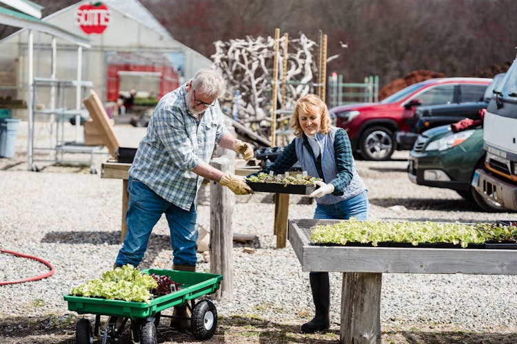 Cheerful Farmers Working With Vegetables Outside