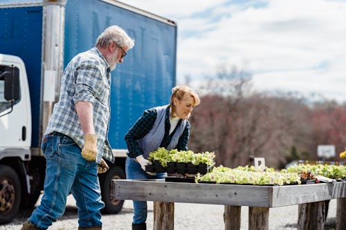 Woman Holding a Seedling Tray