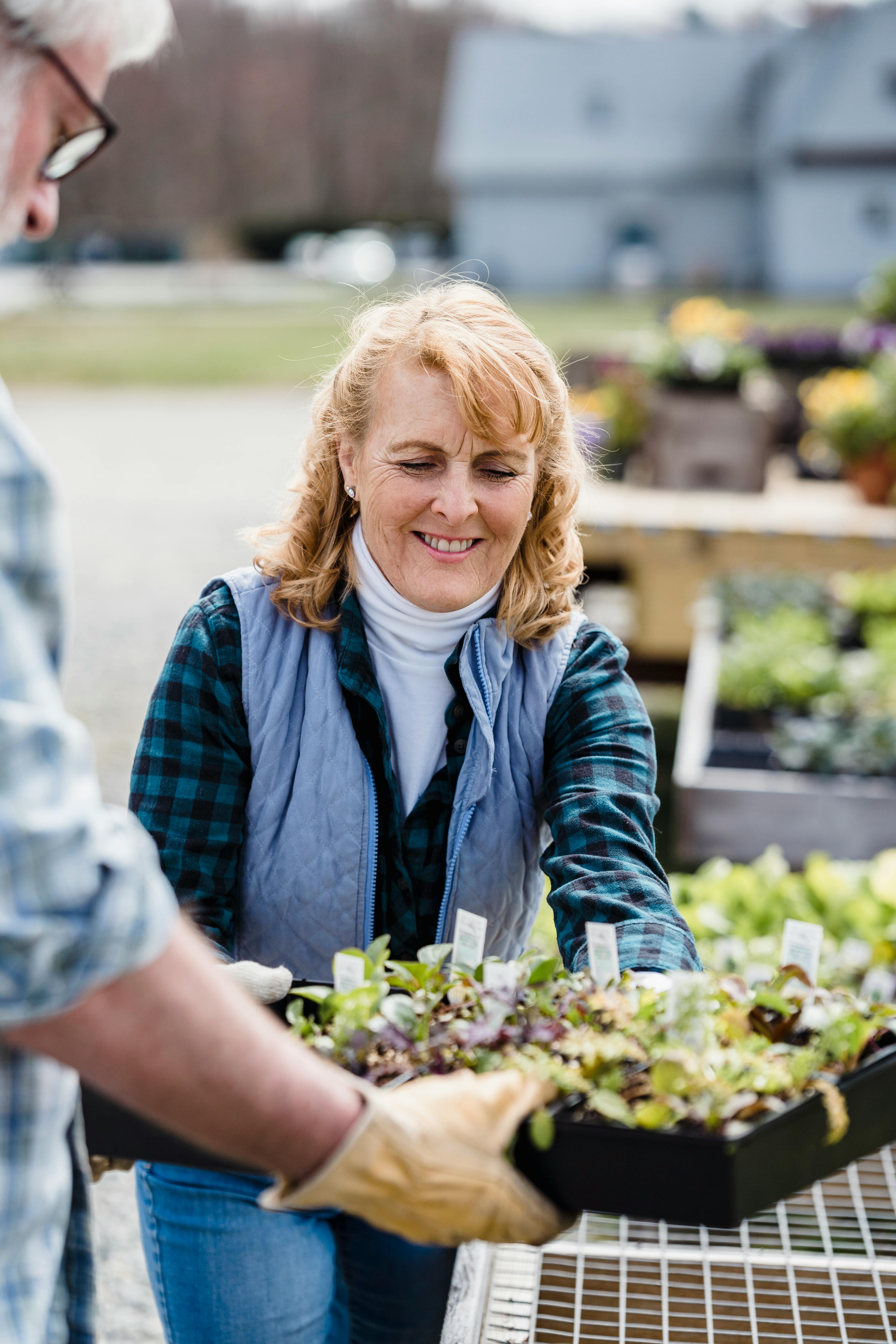 Smiling woman carrying box with green lettuce