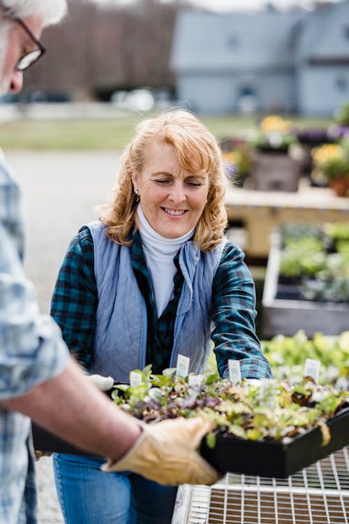 Smiling woman carrying box with green lettuce