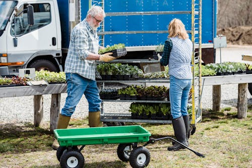 Free Farmers working with boxes of plants in farm Stock Photo