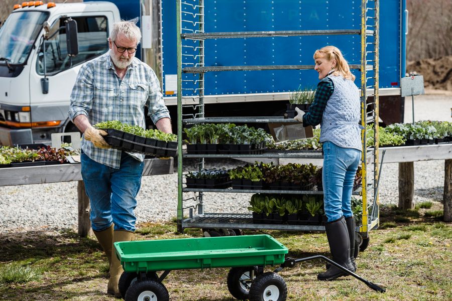 Staff carrying crates of fresh vegetables for wholesale dispatch