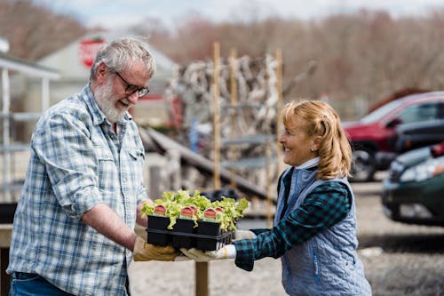 Cheerful couple of farmers holding box with plants