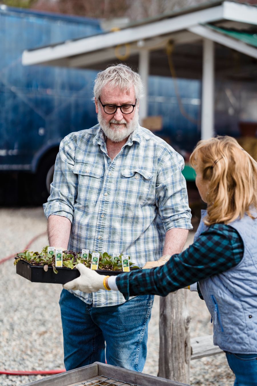 Jardinier portant un plateau de jeunes plants, gants aux mains