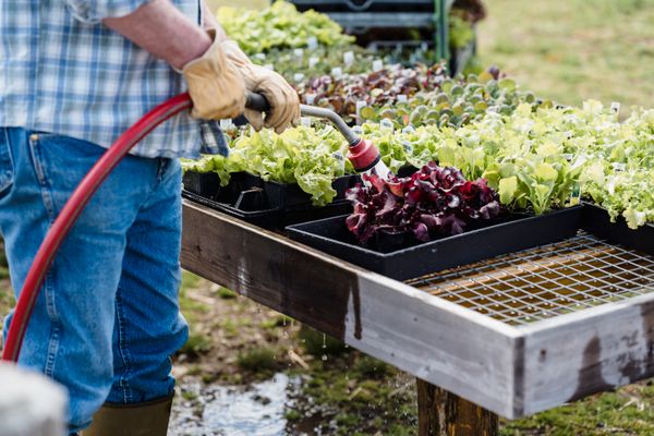 Water Conservation Techniques for Smallholder Farmers — Green Revolution Farmers