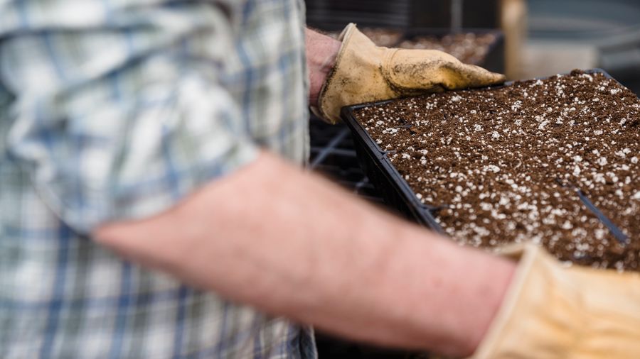 How to Choose the Right Gardening Gloves for the Job