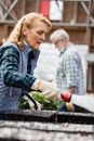 Senior woman watering planted seeds near man